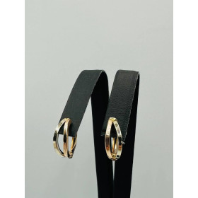 Сережки из комбинированного золота  585*